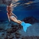 thumbnail image 3 of Aletas de Natación Ndcxsfigh Whale Tail Flipper Equipo Natación, 3 of 9