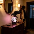 thumbnail image 6 of Halloween Crow Desk Lamp, Dark Academia Table Light with Spooky Bird Figurine Base, Mood Lighting for Study Room, Themed Party Prop and Atmospheric Indoor Decoration for Autumn Evenings, D, 6 of 6