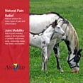 thumbnail image 4 of AniMed Pure MSM Horse Joint Supplement Horse Care Support 5lb., 4 of 7