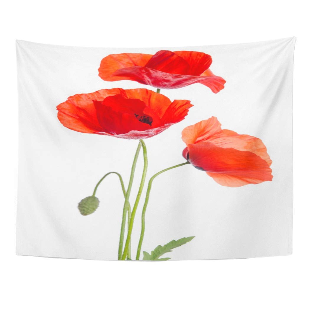 Zealgned Green Poppy Bouquet Red Poppies Flower Papaver Arrangement Beauty Wall Art Hanging Tapestry Home Decor For Living Room Bedroom Dorm 51x60 Inch Walmart Com Walmart Com Zealgned Green Poppy Bouquet Red Poppies Flower Papaver Arrangement Beauty Wall Art Hanging Tapestry Home Decor For Living Room Bedroom Dorm 51x60 Inch Walmart Com Walmart Com