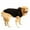 Black, variant on Dog Hoodie Comfortable Fit Back Pocket Warm Outdoor Dog Sweatshirt with Drawstring for Large Dogs-Black,XL