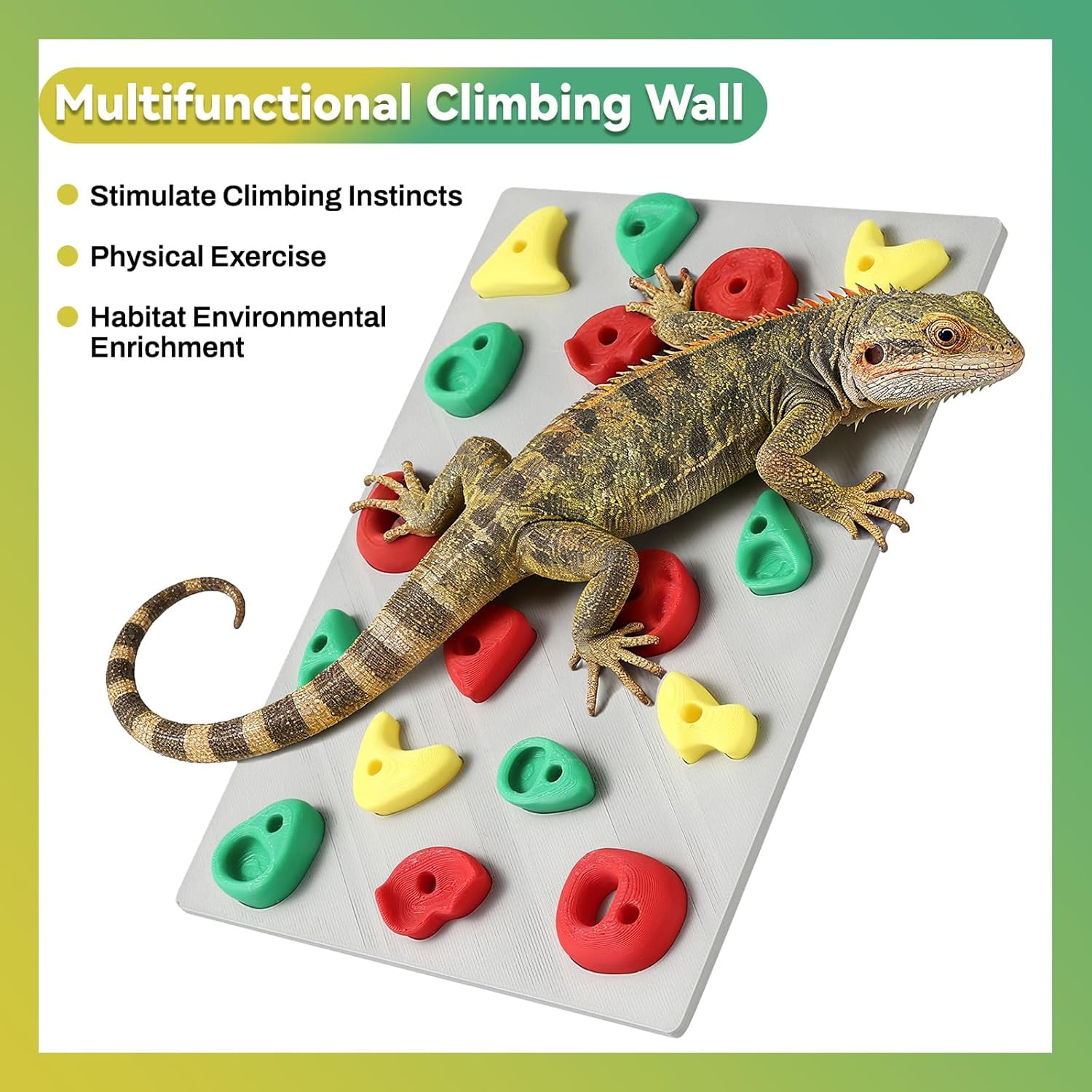 Climbing Wall for Reptiles, Terrarium Accessories Habitat Decor for Bearded Dragons, Leopard Geckos, Lizards, Snakes, Tree Frogs, Amphibian Paludariums Enclosure Supplies