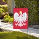 thumbnail image 4 of Bandera de la selección nacional de fútbol de Polonia (31,7 x 45,7 cm), 4 of 5