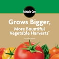 thumbnail image 4 of Miracle-Gro Water Soluble Tomato Plant Food, 3 lbs., 4 of 7