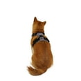 thumbnail image 1 of One Paw, Dog Harness with Bonded Mesh and Reflective Stitching, Multiple Sizes and Colours, 1 of 7