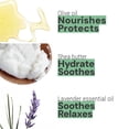thumbnail image 2 of Crema de manos Panier des Sens Lavanda Manteca de Karité 30 ml, 2 of 5