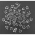 thumbnail image 2 of Rosenthal, Barry 15x15 White Modern Wood Framed Museum Art Print Titled - Dill Top View, 2 of 4