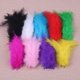 thumbnail image 5 of 100 Piezas/300 Piezas De Plumas De Colores Para Manualidades, Bodas, Decoraciones Para Fiestas En Casa ANGGREK  Otros, 5 of 8