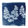 thumbnail image 2 of Green, Nancy 12x12 Black Ornate Wood Framed with Double Matting Museum Art Print Titled - Flora Cyanotype II, 2 of 4