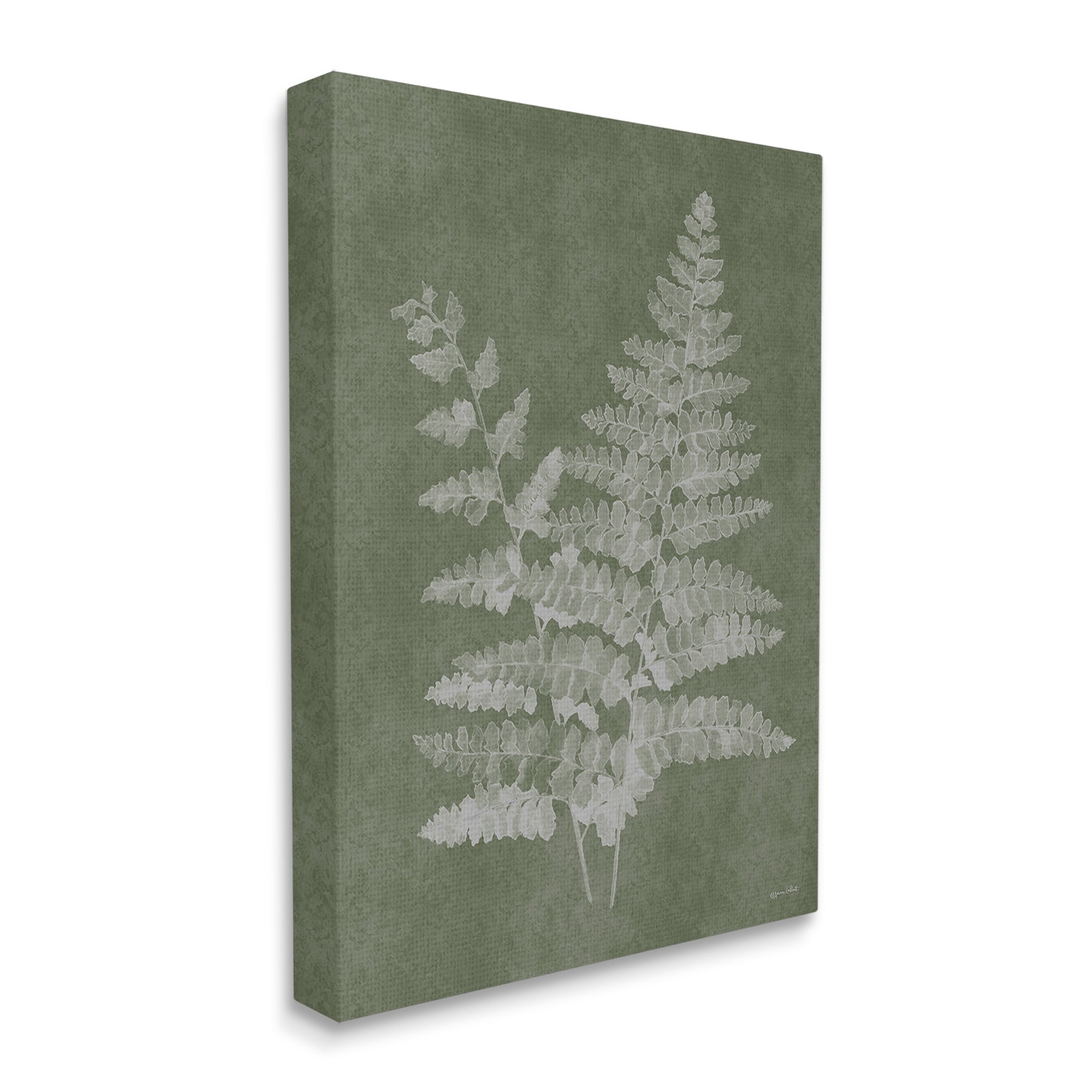 Stupell Industries Green Rustic Ferns Botanical & Floral Painting Gallery Wrapped Canvas Art Print Wall Art, 30 x 40