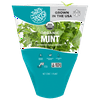 Organic Mint - Living Herb