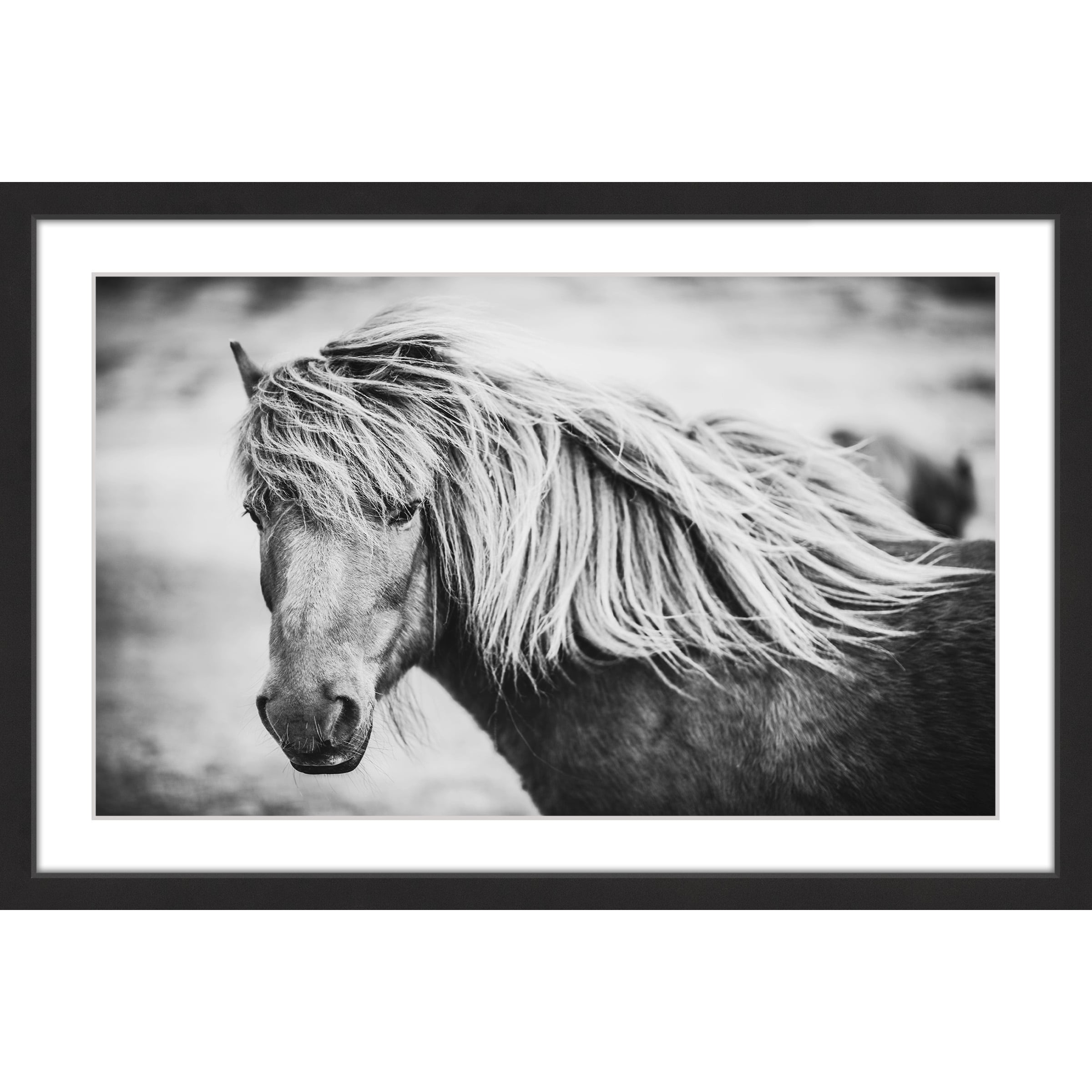 Marmont Hill "Beautiful Mane" Framed Painting Print
