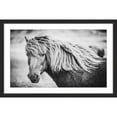 thumbnail image 3 of Marmont Hill "Beautiful Mane" Framed Painting Print, 3 of 5