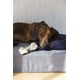thumbnail image 2 of Memory Foam: Colchón para Perro o Mascotas Ortopédico Chico 70x 50cm, Fácil de Lavar, con la Espuma más Durable Que Ofrece un Descanso Cómodo e Inigualable a tu Mascota, 2 of 7