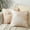 White with Brown, variant on Pillow Covers Throw Pillow Covers Pillow Protector with Hidden Zipper Furry Long Faux Fur 18''x18'' 2 Pack