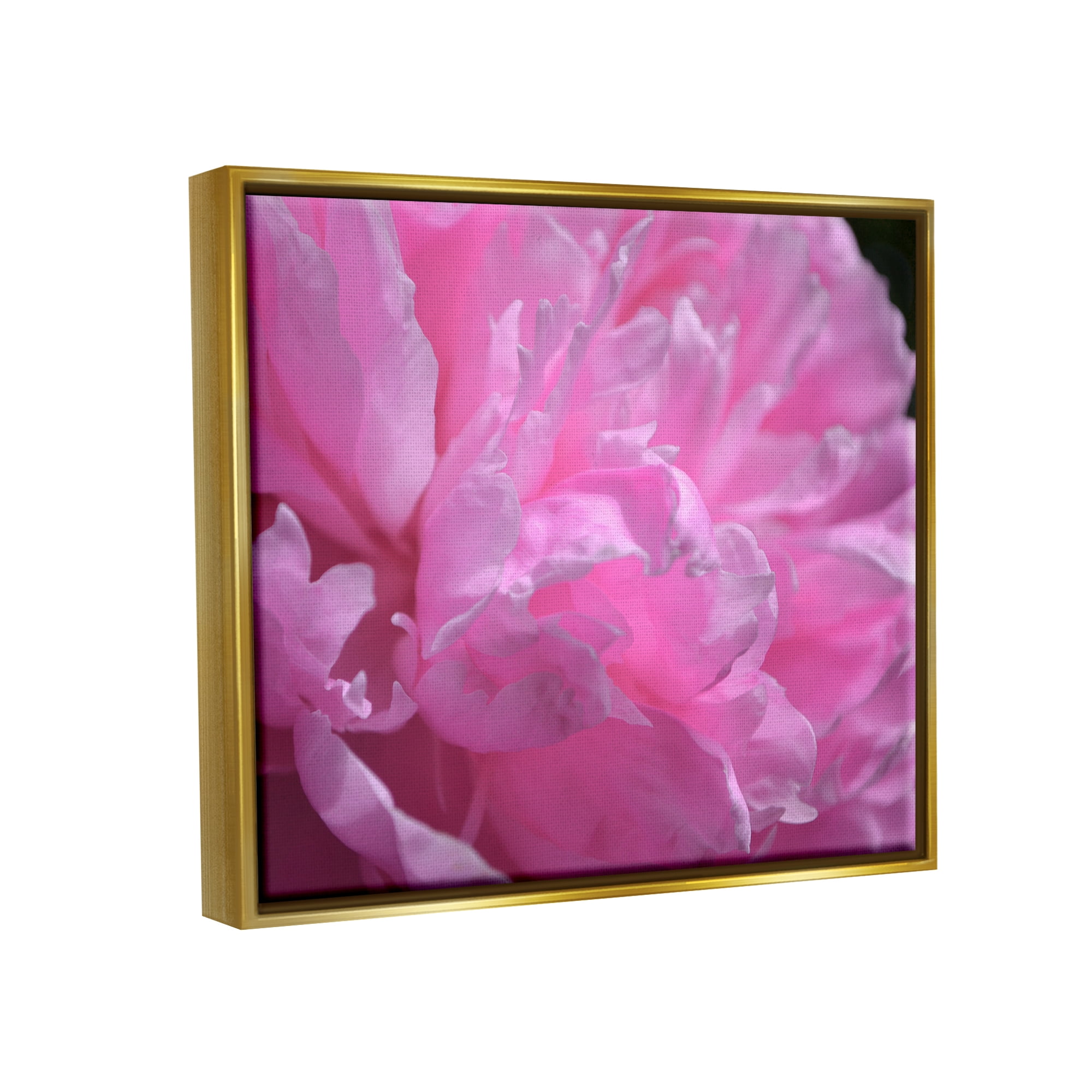Stupell Industries Pink Carnation Photography Botanical & Floral Photography Gold Floater Framed Canvas Art Print Wall Art, 31 x 25