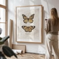 thumbnail image 3 of Butterflies VI - Drawing Butterfly Vintage Nature Botanical Insect Illustration Unframed Wall Art Print 24 x 32 inches, 3 of 16