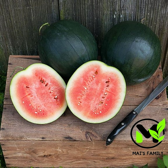 100 Watermelon Seeds, Mini Sugar Baby Non-GMO by Mai's Family