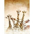 thumbnail image 2 of Meneely, Dan 25x32 Gold Ornate Wood Framed with Double Matting Museum Art Print Titled - Safari Giraffe II, 2 of 4