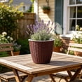 thumbnail image 6 of Self Watering Small Flower Pots Imitation Rattan Woven Texture 4.53 Inch Flower Pots for Indoor Plants Succulents and Desktop Home Decor, 6 of 6