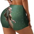 thumbnail image 1 of Balery Squirrel Pantalones cortos de entrenamiento estampados para mujer, sin costuras, ajustados, para gimnasio, yoga, correr, deportes, ejercicio activo, fitness.-Large, 1 of 8