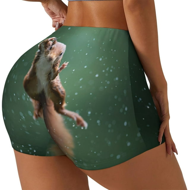 Balery Squirrel Pantalones cortos de entrenamiento estampados para mujer, sin costuras, ajustados, para gimnasio, yoga, correr, deportes, ejercicio activo, fitness.-Large