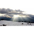 thumbnail image 1 of Posterazzi DPI1879545 Horses Grazing In Field In Himalayas At Sunset Poster Print, 20 x 10, 1 of 1