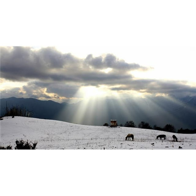 Posterazzi DPI1879545 Horses Grazing In Field In Himalayas At Sunset Poster Print, 20 x 10