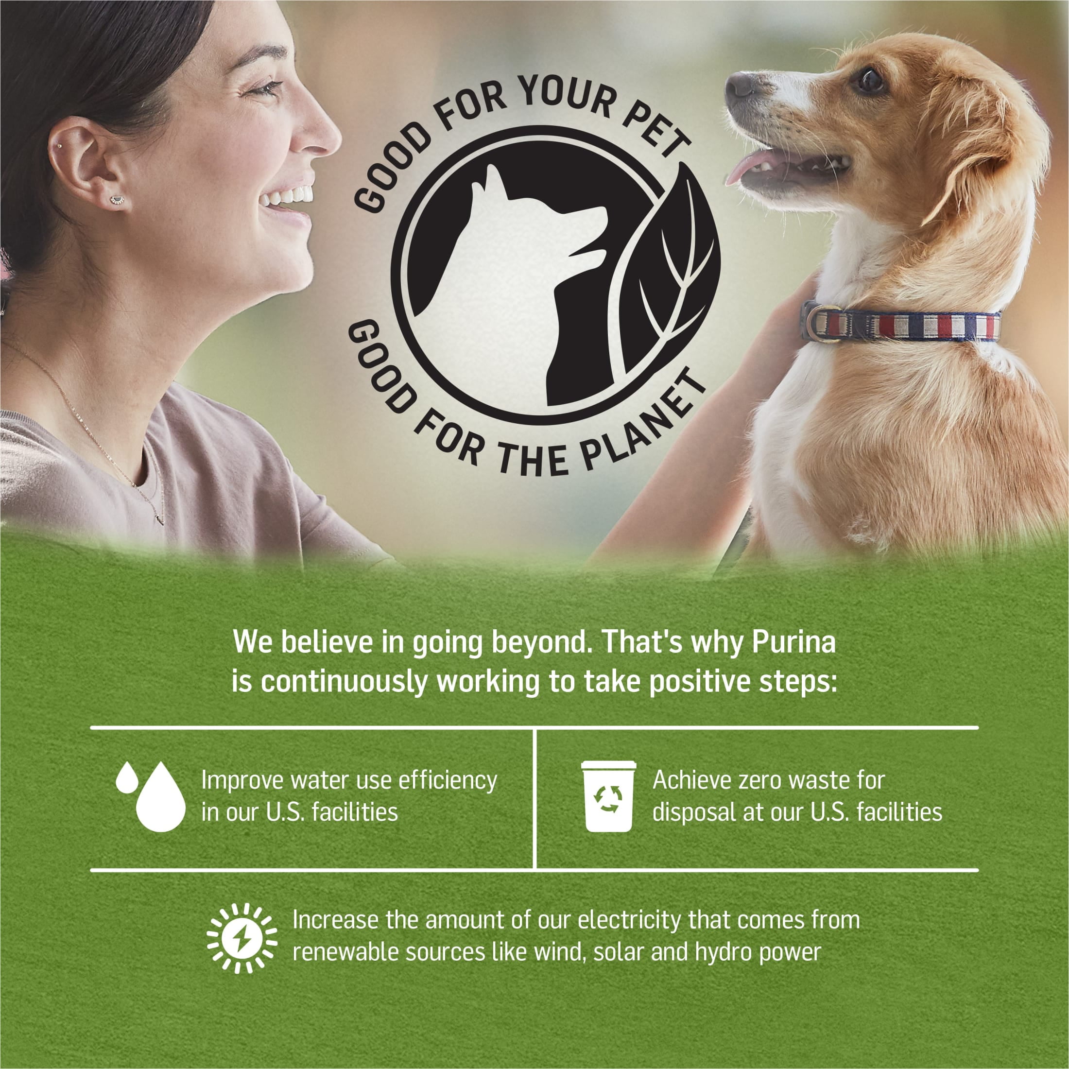 Purina Beyond Immune Health Wet Dog Food Real Soft Chicken, Lamb & Spinach, 13 oz Can
