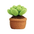 thumbnail image 1 of GUOOL Crochet Doll Set for Beginners, DIY Crochet Doll Set, Decorative Crochet Starter Planter, 1 of 9