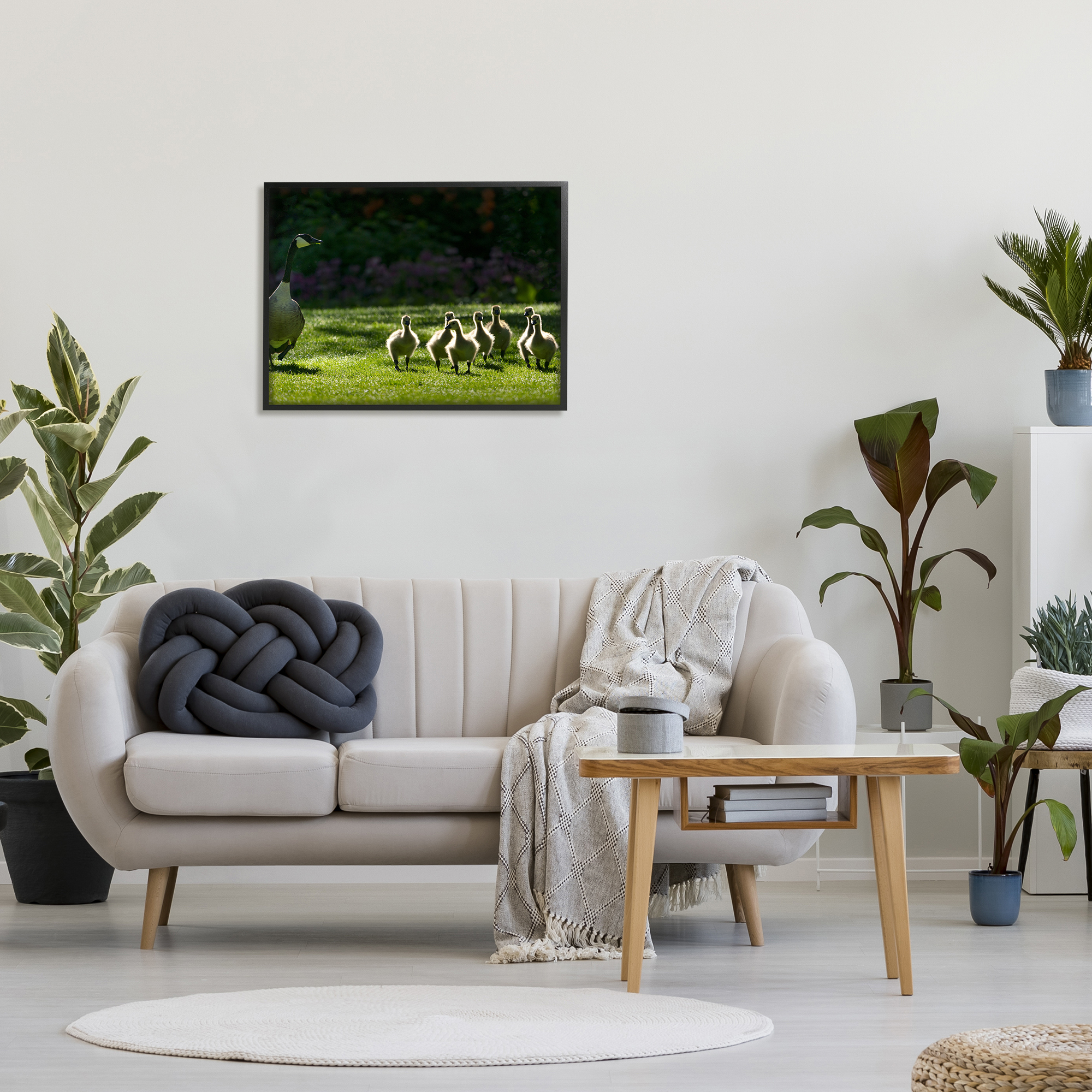Stupell Industries Goose Family Photography Animals & Insects Photography Black Framed Art Print Wall Art, 30 x 24