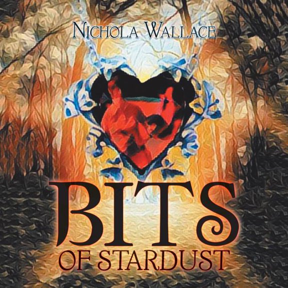 Bits of Stardust (Paperback)