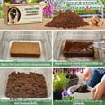 thumbnail image 3 of Legigo 2 Pack Premium Coco Coir Brick for Plants- 100% Organic Compressed Coconut Coir Bricks Starting Mix, Coco Coir Fiber Coconut Husk for Planting, Gardening, Potting Soil Substrate, Herbs, 3 of 7
