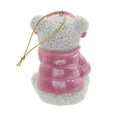 thumbnail image 5 of PINK SNOWFLAKE TEDDY GIRL, 5 of 5