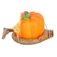 thumbnail image 4 of Shisuyan 1PC Bird Parrot Feeding Box Pumpkin Shape Plastic Feeder Bird Cage Food Cup, 4 of 9