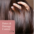 thumbnail image 2 of 100% PURE Honey & Virgin Coconut Restorative Conditioner Moisturizer & Repair Replenishing Nutrient Boost for Dry Damaged Hair, Promotes Healthy Growth for Women & Men - Sulfate Free - 13 fl oz, 2 of 8