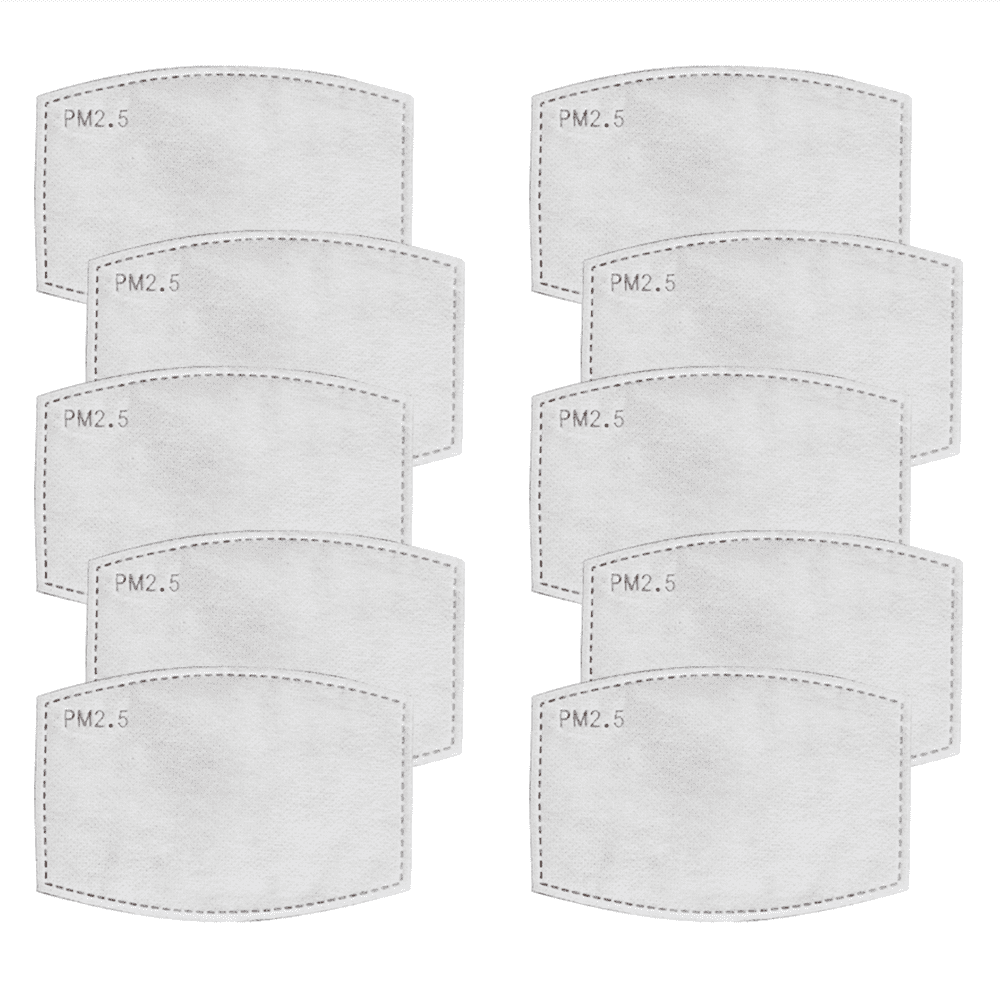 Carbon pm 2.5 filter deals