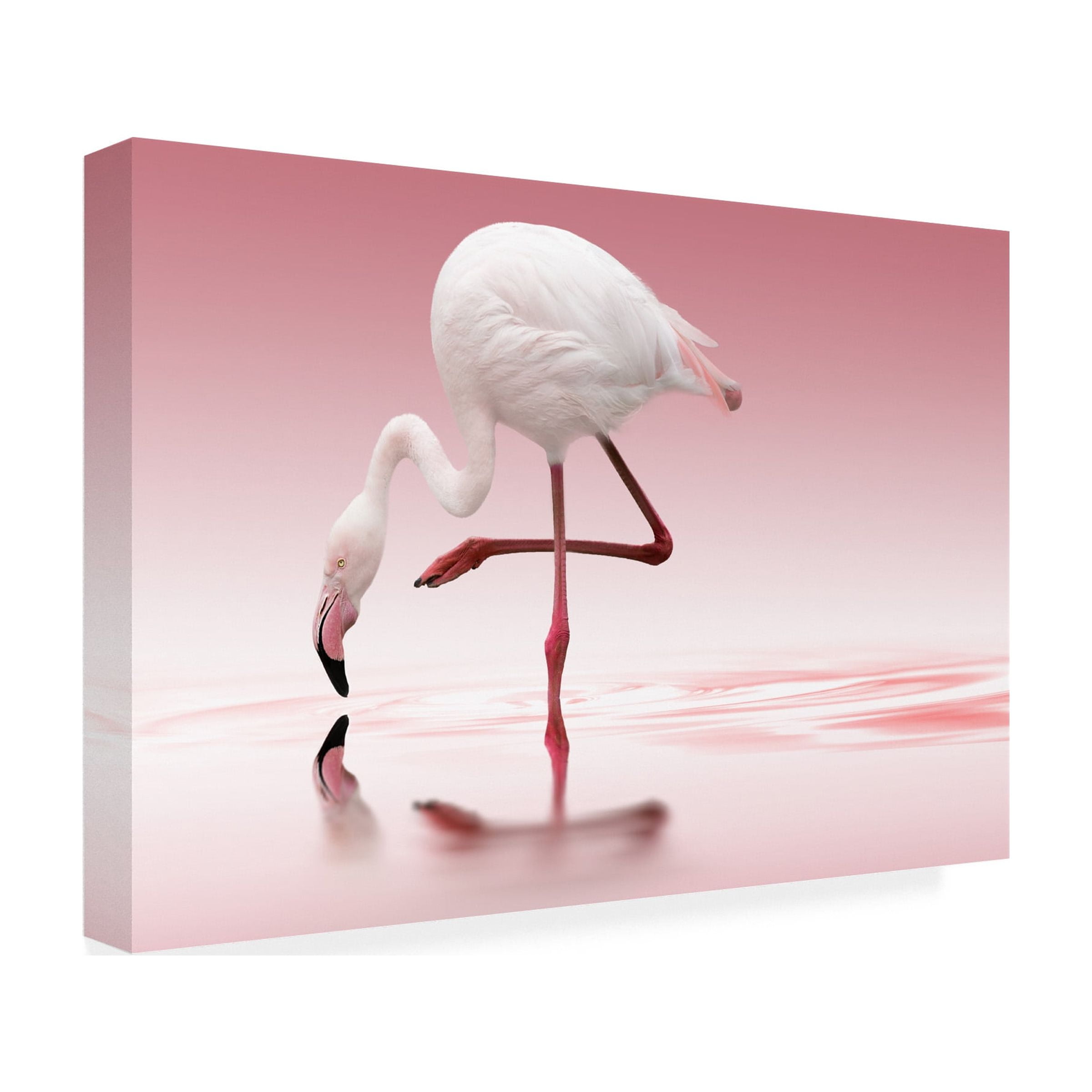 Doris Reindl 'Flamingo' Canvas Art