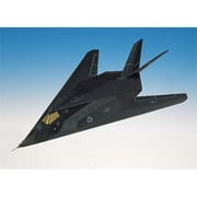 F-117A Blackjet