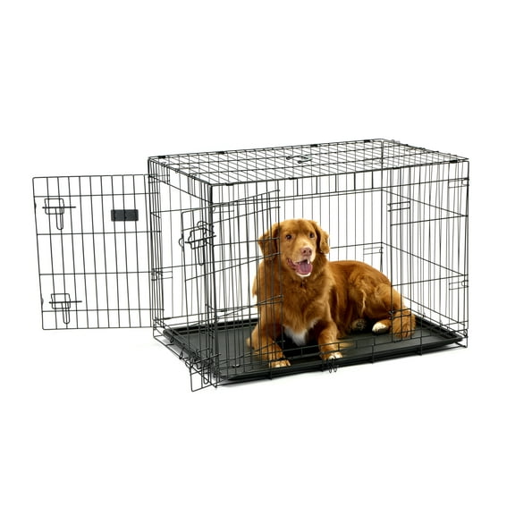 Carlson Pet Products Double Door Wire Crate with Divider, Intermediate, 36" L