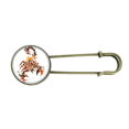thumbnail image 1 of Colorful Scorpion Animal Art Outline Retro Metal Brooch Pin Clip Jewelry, 1 of 3