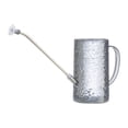 thumbnail image 2 of S SERENABLE Arrosoir 1L Poignée Ergonomique Long Bec pour Fleurs d'Intérieur Gris, 2 of 5