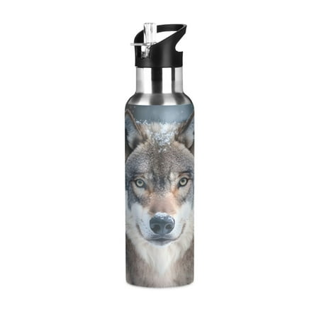 

ALAZA Wolf in Winter Pattern Water Bottle Insulated Flask Stainless Steel Straw Lid 20 oz