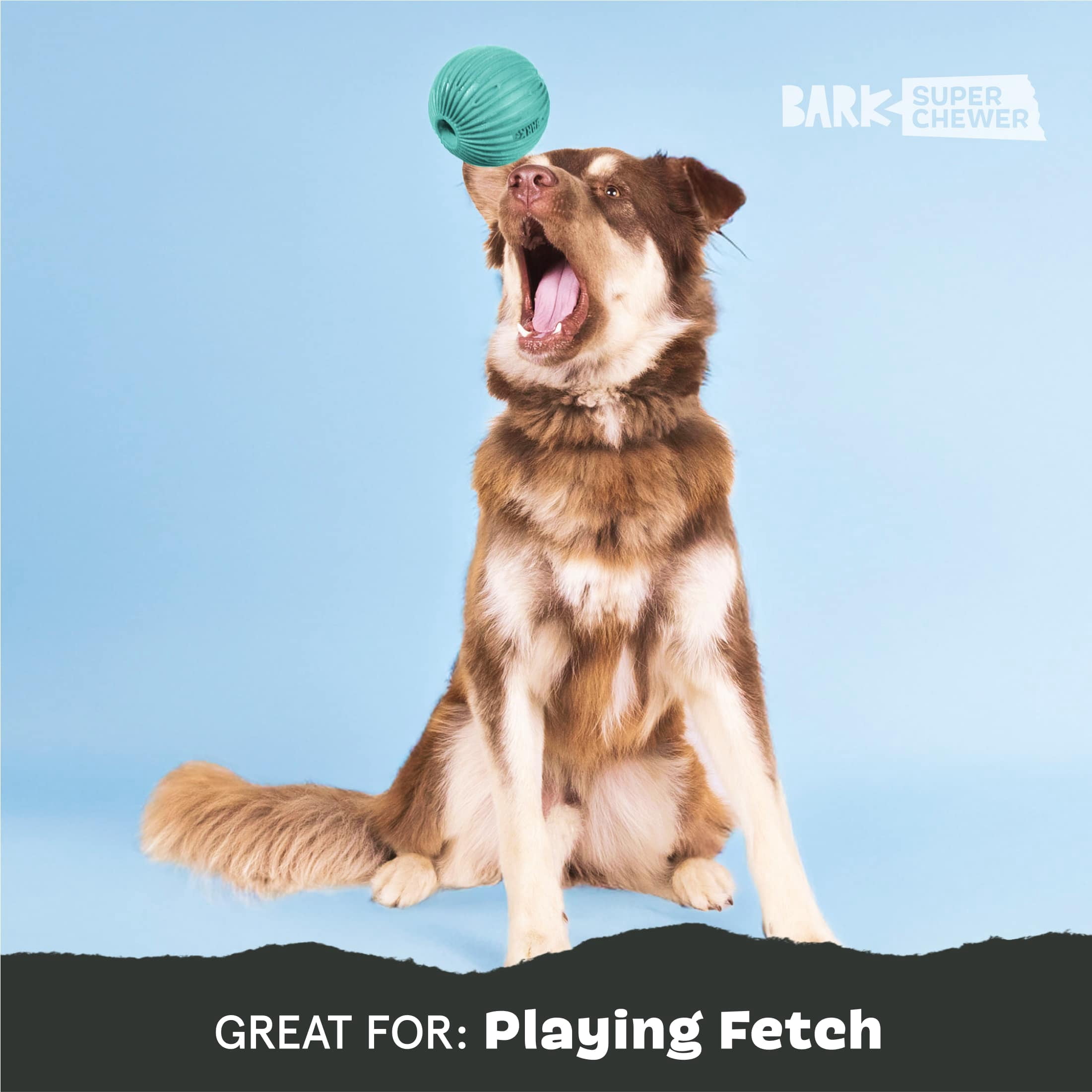 BARK Super Chewer Sea Foam Reef Ball Green Rubber Dog Toy