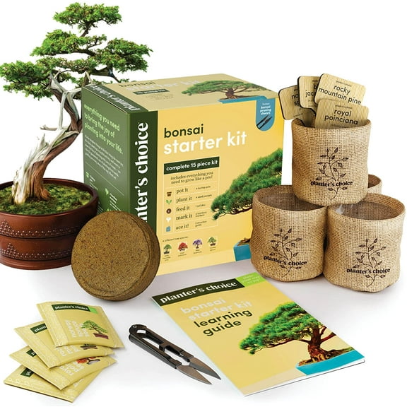 Planters' Choice Bonsai Tree Plant Growing Kits with Seed-safe Packets (4 Count)