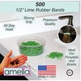 thumbnail image 2 of Amelia Beauty | 1/2in, Lime, Elastic Rubber Band Pony Tail Holders | Made in USA, Ideal for Ponytails, Braids, Twists, Dreadlocks, Styling Accessories for Women, Men and Girls | 500 Pack, 2 of 6