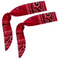 thumbnail image 1 of Cool Wrap Bandana (Red 2 Pack), 1 of 7