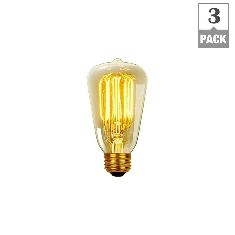 Globe Electric 60W Vintage Edison S60 Squirrel Cage