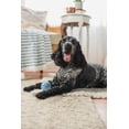 thumbnail image 4 of Pelotas de goma y palitos masticables de goma Harry Barker de juguete para perros, paquete de 6, 4 of 4