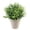 C-L012, variant on Clearance!! Orchid Pot JORIAE Simple Transparent Breathable Plastic Hard Plant Cup of Orchid Dendrobium Root Control Pot Phalaenopsis Special Flower Pot Clearance!!